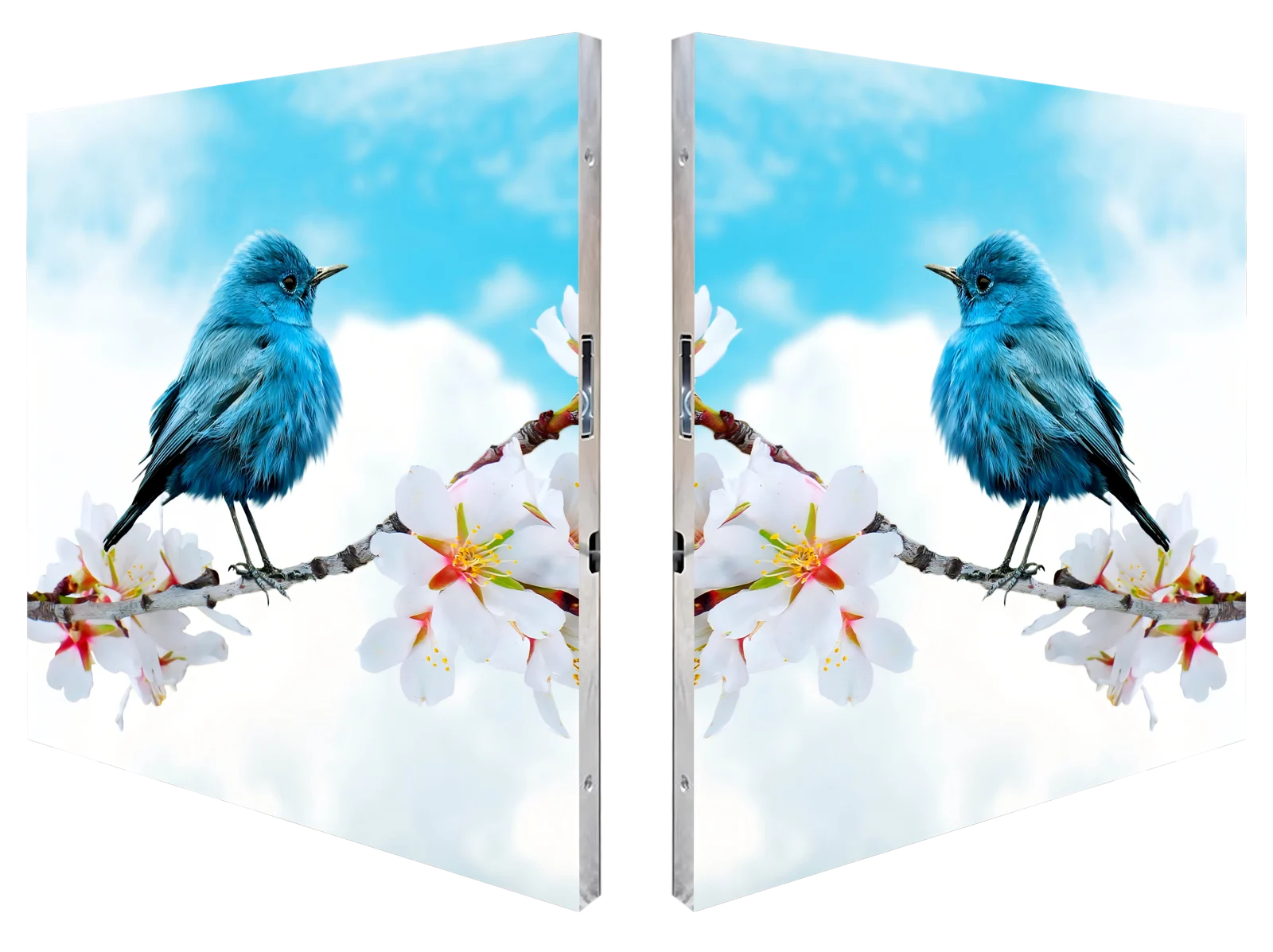 Double-sided Display — Ultra-thin dual-sided display