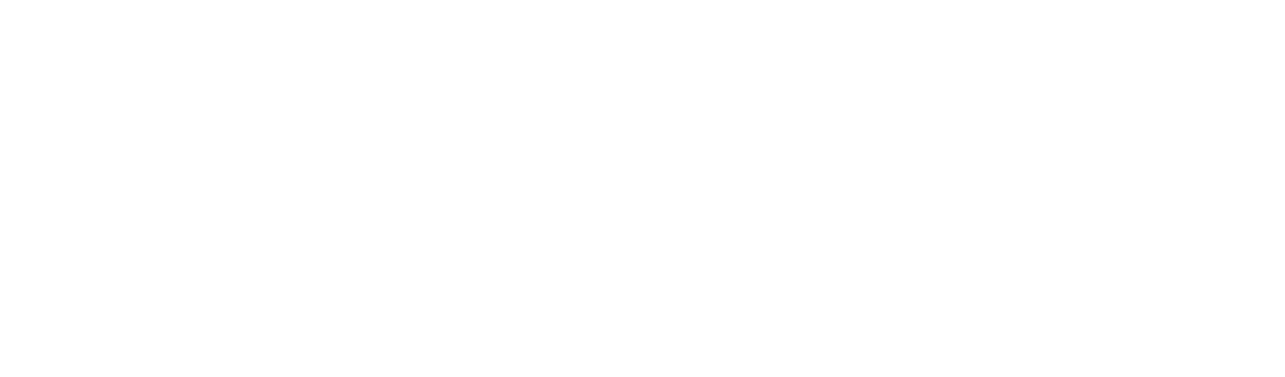 Texassonic