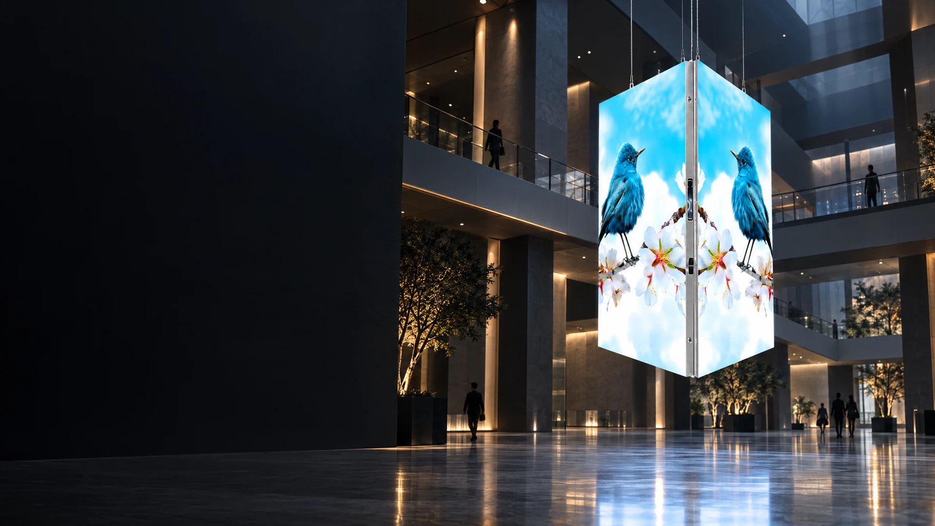 Double-sided Display — application background visual